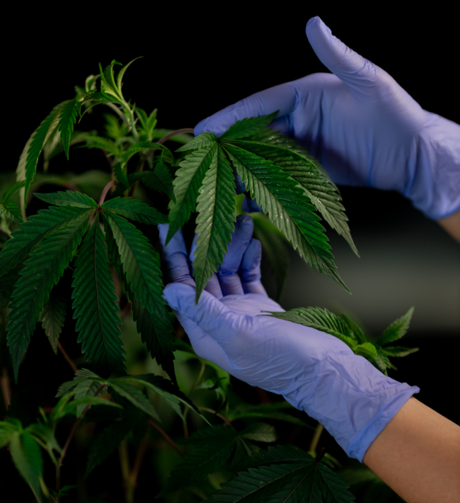 pexels-kindel-media-7667740 pexels-kindel-media-7667740