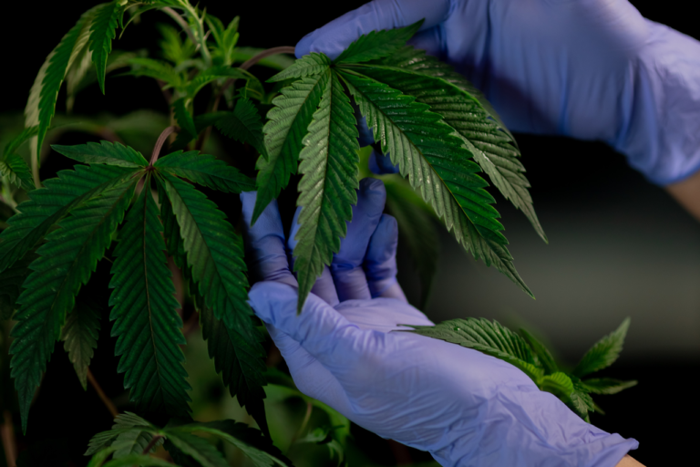 pexels-kindel-media-7667740